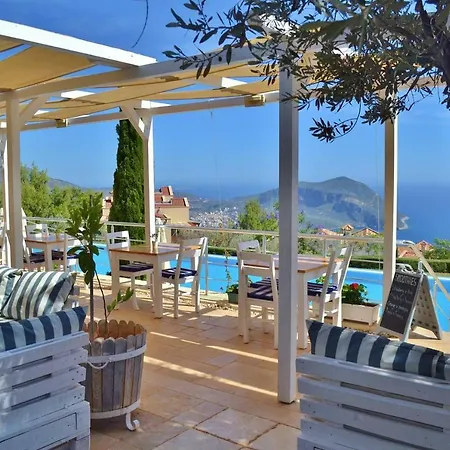 Mel, Lavanta, Kalkan